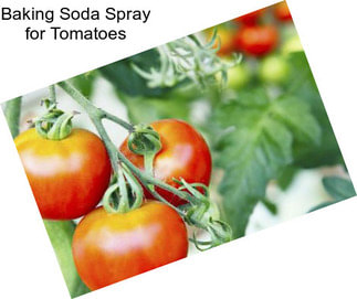 Baking Soda Spray for Tomatoes