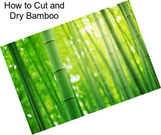 How to Cut and Dry Bamboo