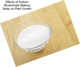 Effects of Sodium Bicarbonate (Baking Soda) on Plant Growth