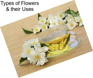 Types of Flowers & their Uses