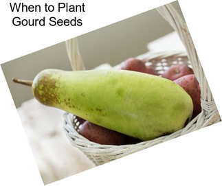 When to Plant Gourd Seeds