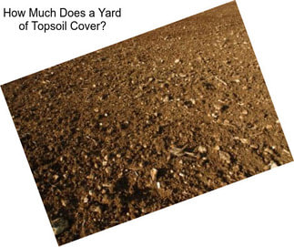 How Much Does a Yard of Topsoil Cover?