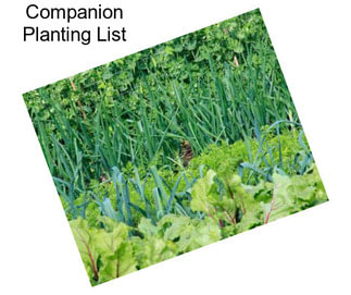 Companion Planting List