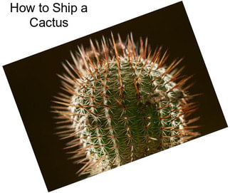 How to Ship a Cactus