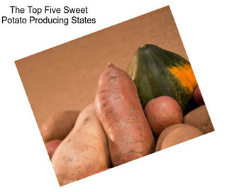 The Top Five Sweet Potato Producing States