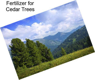 Fertilizer for Cedar Trees