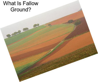 What Is Fallow Ground?