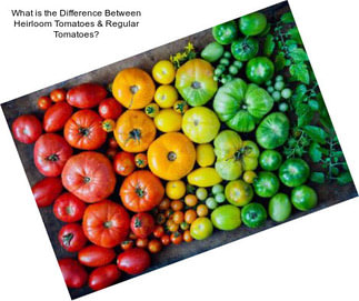 What is the Difference Between Heirloom Tomatoes & Regular Tomatoes?