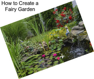 How to Create a Fairy Garden