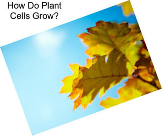 How Do Plant Cells Grow?