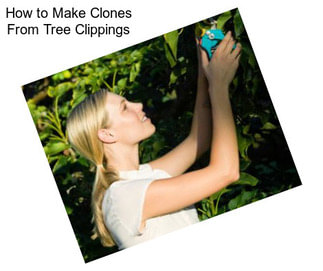 How to Make Clones From Tree Clippings