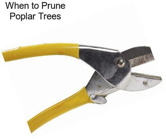 When to Prune Poplar Trees