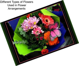 Different Types of Flowers Used in Flower Arrangements