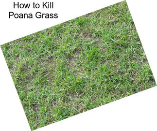How to Kill Poana Grass