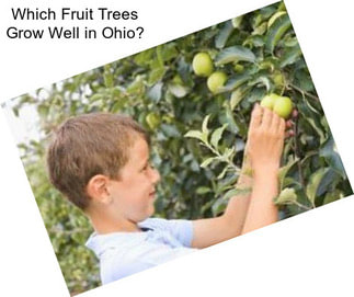 Which Fruit Trees Grow Well in Ohio?