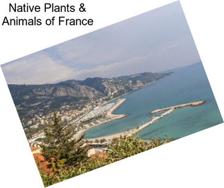 Native Plants & Animals of France
