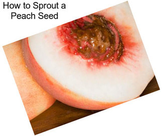 How to Sprout a Peach Seed