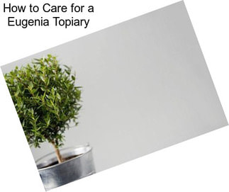 How to Care for a Eugenia Topiary