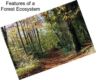 Features of a Forest Ecosystem