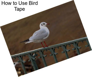 How to Use Bird Tape