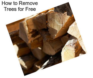 How to Remove Trees for Free