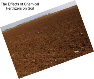 The Effects of Chemical Fertilizers on Soil