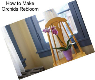 How to Make Orchids Rebloom