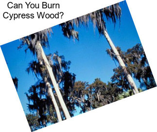 Can You Burn Cypress Wood?