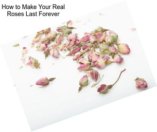 How to Make Your Real Roses Last Forever