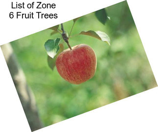 List of Zone 6 Fruit Trees