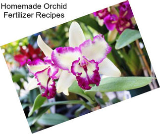 Homemade Orchid Fertilizer Recipes