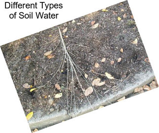 Different Types of Soil Water