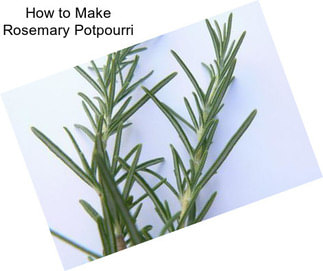 How to Make Rosemary Potpourri