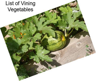 List of Vining Vegetables