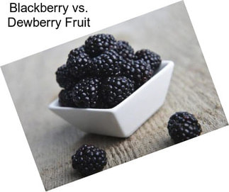 Blackberry vs. Dewberry Fruit