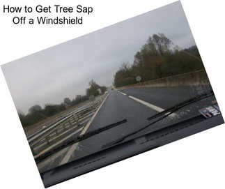 How to Get Tree Sap Off a Windshield