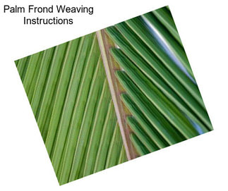 Palm Frond Weaving Instructions