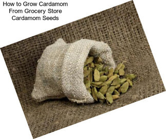 How to Grow Cardamom From Grocery Store Cardamom Seeds