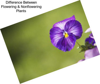 Difference Between Flowering & Nonflowering Plants