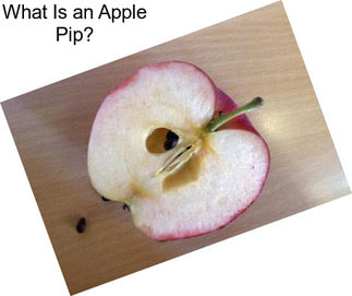 What Is an Apple Pip?