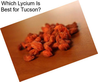 Which Lycium Is Best for Tucson?