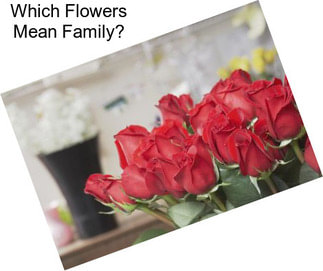Which Flowers Mean Family?