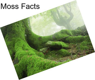 Moss Facts