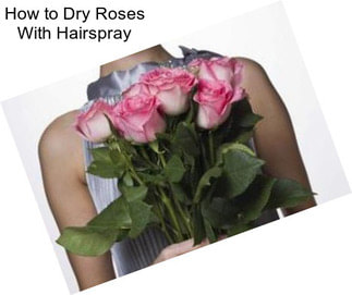 How to Dry Roses With Hairspray