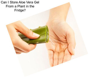 Can I Store Aloe Vera Gel From a Plant in the Fridge?