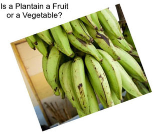 Is a Plantain a Fruit or a Vegetable?