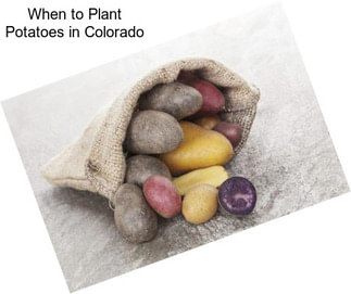 When to Plant Potatoes in Colorado