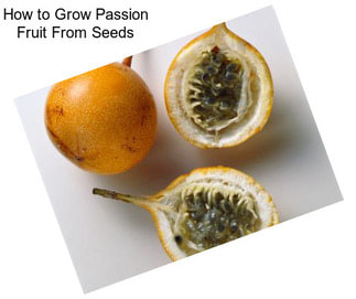 How to Grow Passion Fruit From Seeds