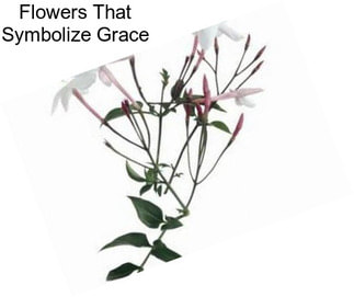 Flowers That Symbolize Grace