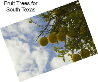 Fruit Trees for South Texas